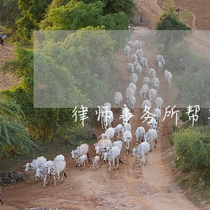 律师事务所帮写借条怎么收费 律师事务所帮写借条怎么收费