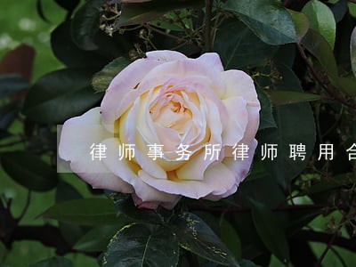 律师事务所律师聘用合同书 律师事务所律师聘用合同书