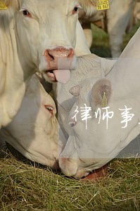 律师事务所推广方案按照效果计费 律师事务所推广方案按照效果计费
