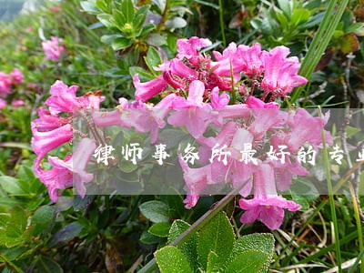 律师事务所最好的专业 律师事务所最好的专业