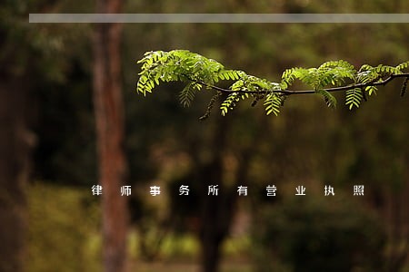 律师事务所有营业执照 律师事务所有营业执照