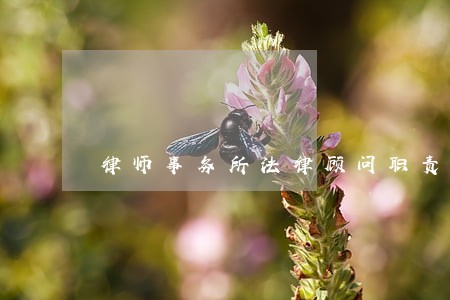 律师事务所法律顾问职责