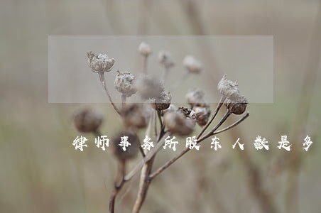 律师事务所股东人数是多少 律师事务所股东人数是多少