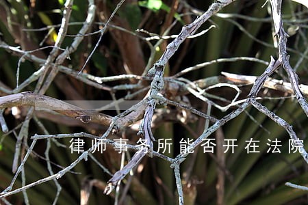 律师事务所能否开在法院旁边 律师事务所能否开在法院旁边