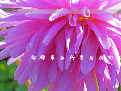 律师事务所费用有哪些 律师事务所费用有哪些