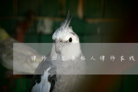 律师云龙县私人律师在线律师