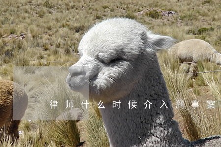 律师什么时候介入刑事案件比较好 律师什么时候介入刑事案件比较好