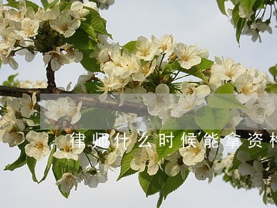 律师什么时候能拿资格证 律师什么时候能拿资格证