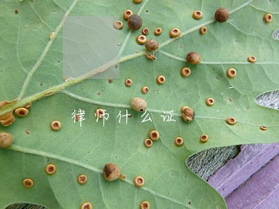 律师什么证 律师什么证