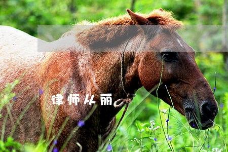 律师从丽