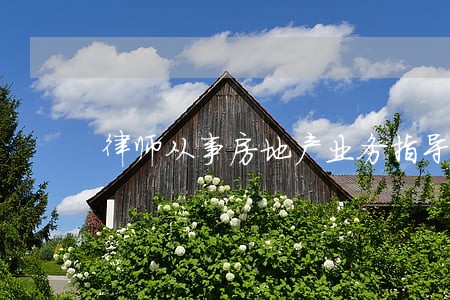 律师从事房地产业务指导 律师从事房地产业务指导