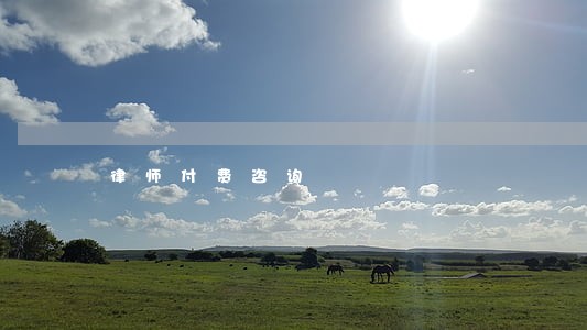 律师付费咨询 律师付费咨询