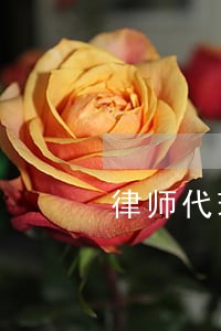 律师代理刑事申诉的权限 律师代理刑事申诉的权限