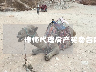 律师代理房产买卖合同 律师代理房产买卖合同