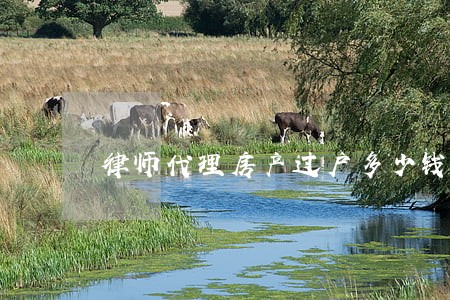 律师代理房产过户多少钱 律师代理房产过户多少钱