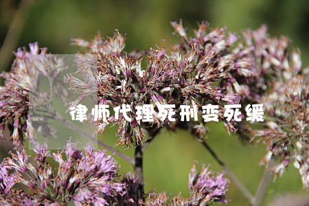 律师代理死刑变死缓 律师代理死刑变死缓