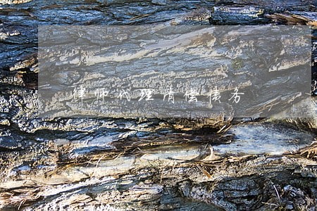 律师代理清偿债务 律师代理清偿债务