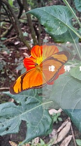 律师代理费收费标准规定 律师代理费收费标准规定