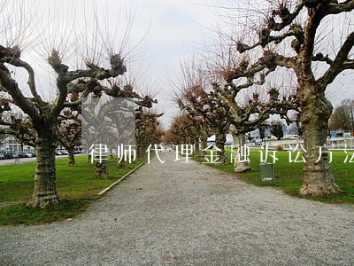 律师代理金融诉讼方法 律师代理金融诉讼方法