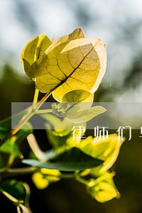 律师们早上好我想问问 律师们早上好我想问问