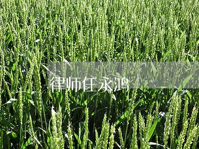 律师任永鸿 律师任永鸿