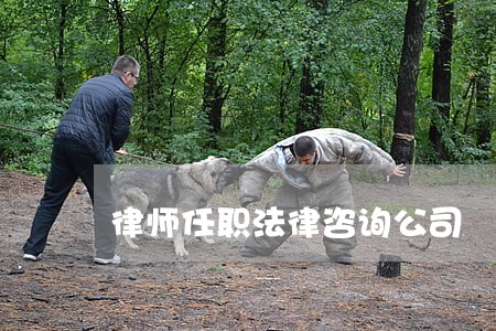 律师任职法律咨询公司 律师任职法律咨询公司
