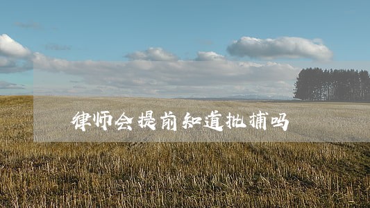 律师会提前知道批捕吗 律师会提前知道批捕吗