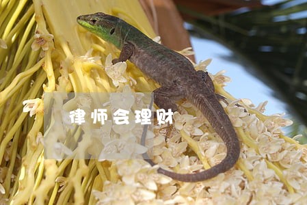 律师会理财