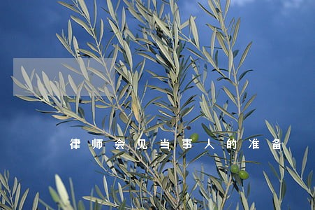 律师会见当事人的准备 律师会见当事人的准备
