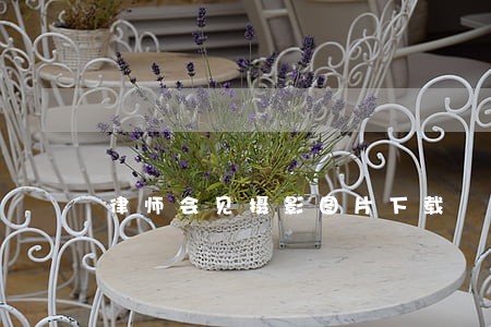 律师会见摄影图片下载 律师会见摄影图片下载