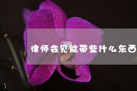 律师会见能带些什么东西给我儿子 律师会见能带些什么东西给我儿子