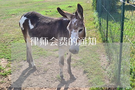 律师会费的通知 律师会费的通知