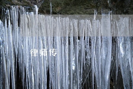律师传 律师传