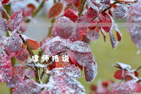 律师传说 律师传说