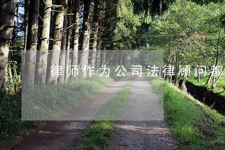 律师作为公司法律顾问都做什么 律师作为公司法律顾问都做什么