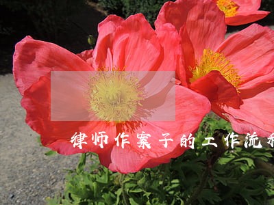 律师作案子的工作流程 律师作案子的工作流程