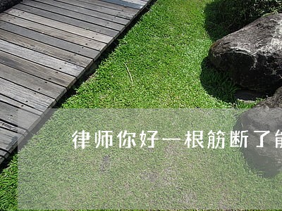 律师你好一根筋断了能评残不 律师你好一根筋断了能评残不