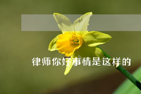 律师你好事情是这样的 律师你好事情是这样的