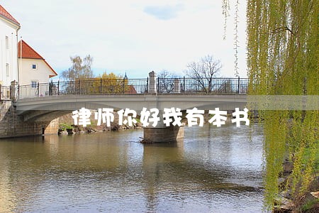 律师你好我有本书