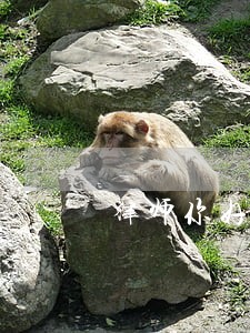 律师你好欠个人四千块钱被起诉了 律师你好欠个人四千块钱被起诉了