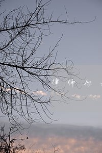 律师你好能帮我打一个官司吗 律师你好能帮我打一个官司吗