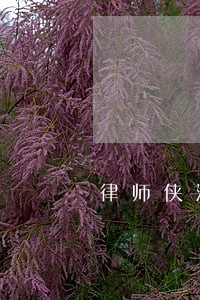 律师侠法律咨询心得 律师侠法律咨询心得