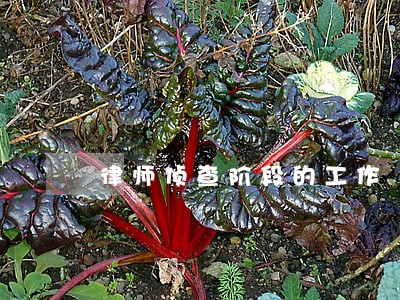 律师侦查阶段的工作 律师侦查阶段的工作