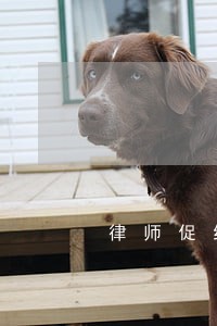 律师促结束社区安全项目