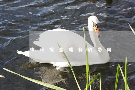 律师保全债务的费用 律师保全债务的费用