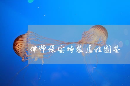 律师保安时装属性图鉴 律师保安时装属性图鉴