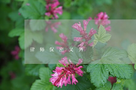 律师保密义务 律师保密义务