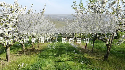 律师信用卡债务重组 律师信用卡债务重组