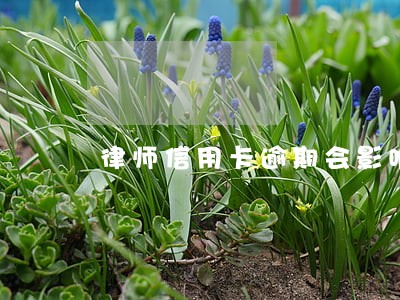 律师信用卡逾期会影响家人吗 律师信用卡逾期会影响家人吗