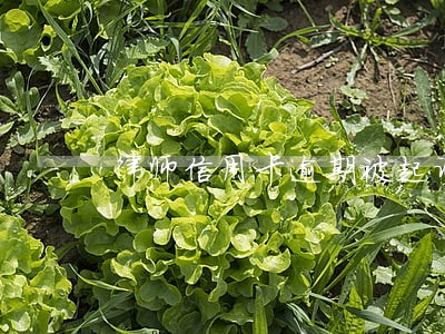 律师信用卡逾期被起诉 律师信用卡逾期被起诉